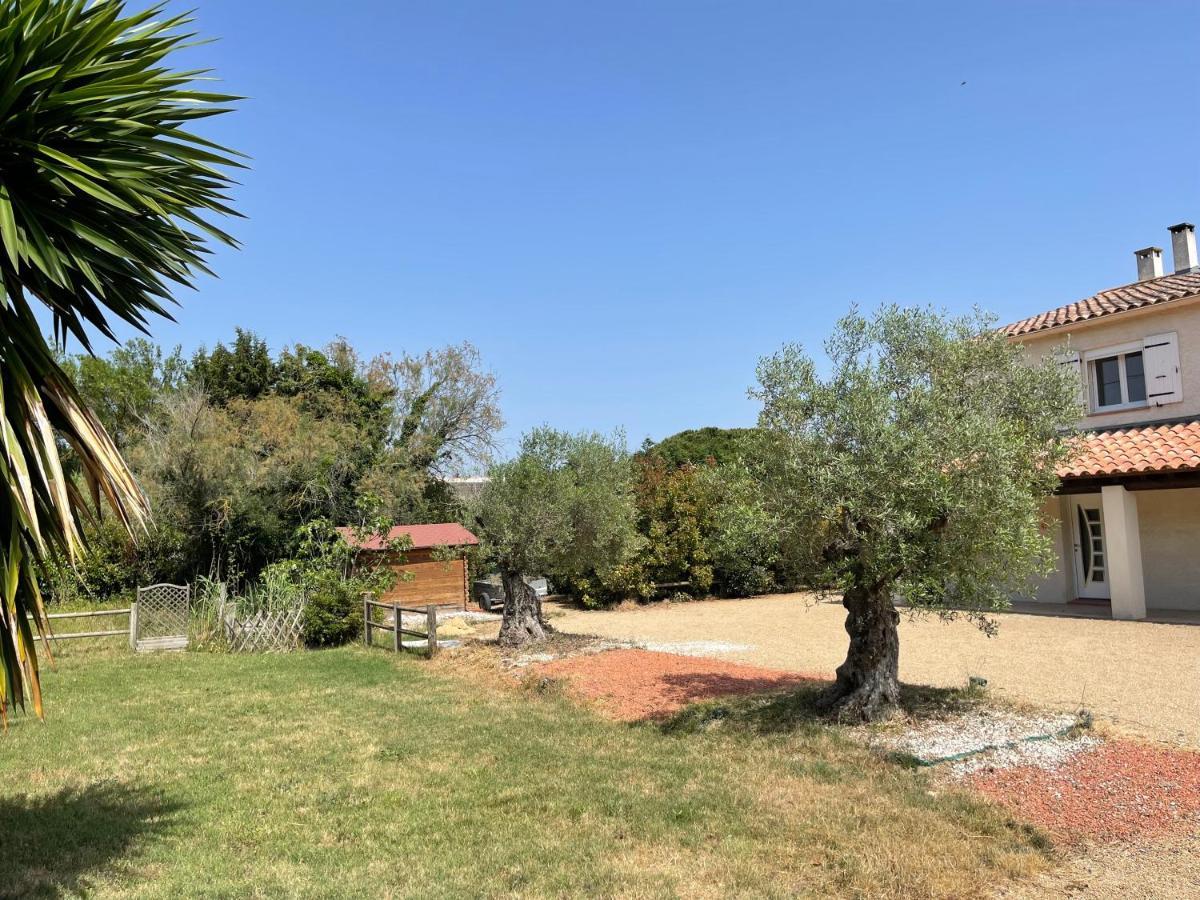 Studio 40M2 Avec Terrasse Le Mas De Lauriane Saintes-Maries-de-la-Mer Kültér fotó