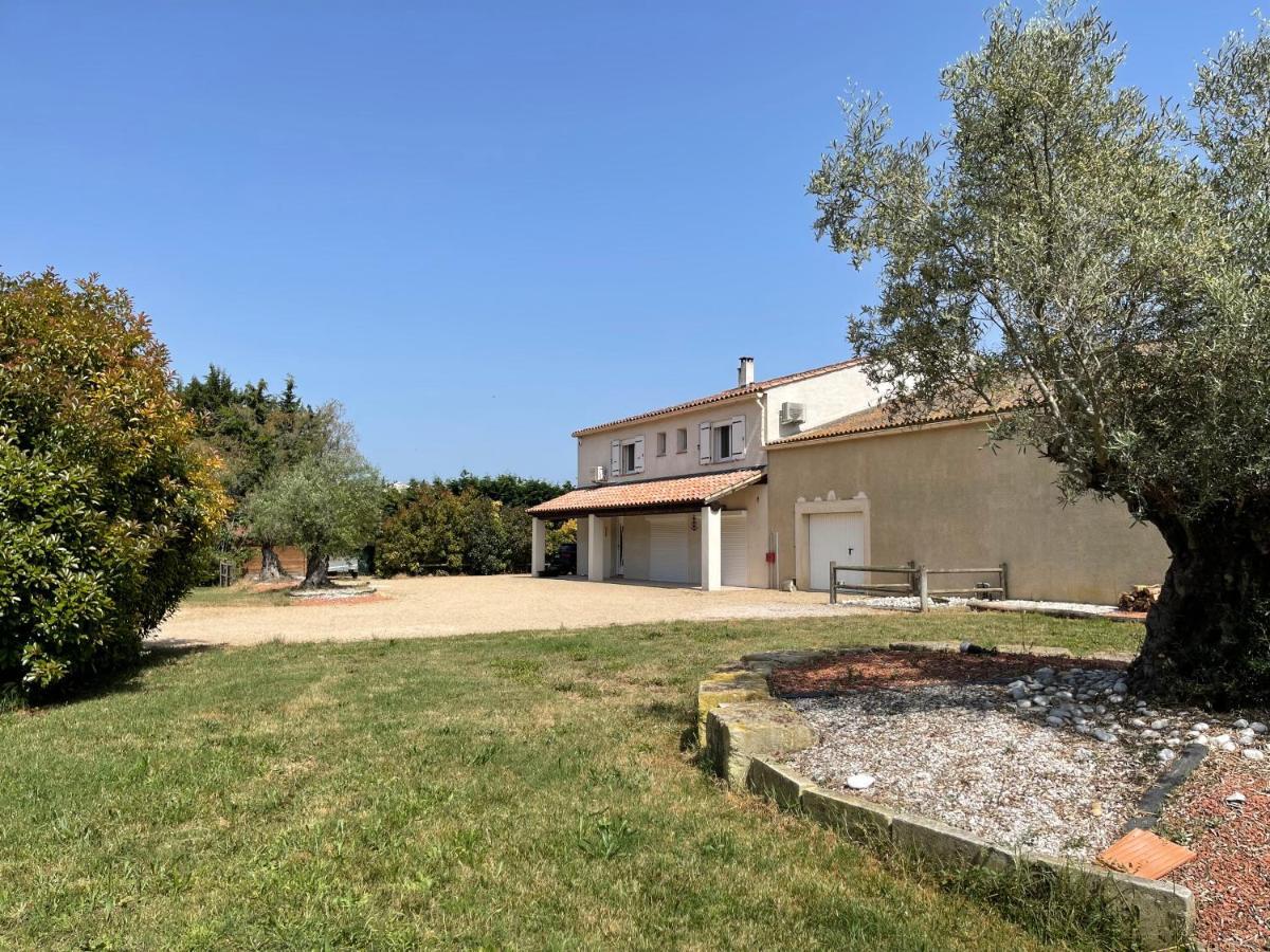 Studio 40M2 Avec Terrasse Le Mas De Lauriane Saintes-Maries-de-la-Mer Kültér fotó