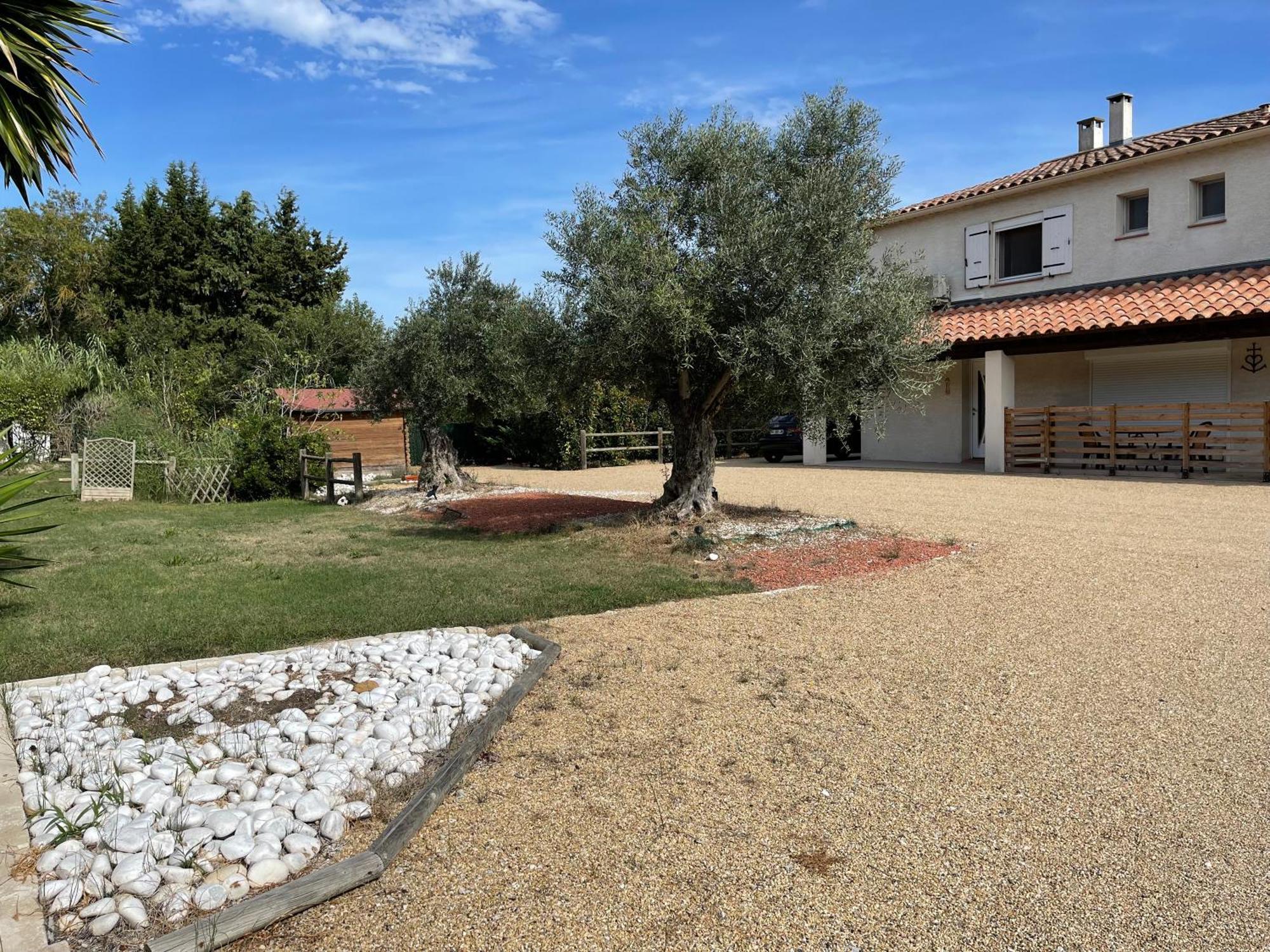 Studio 40M2 Avec Terrasse Le Mas De Lauriane Saintes-Maries-de-la-Mer Kültér fotó